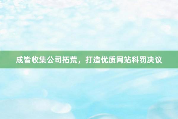 成皆收集公司拓荒，打造优质网站科罚决议